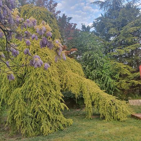 Gite Au Coeur De La Provence & Spa Saint-Cannat Zewnętrze zdjęcie